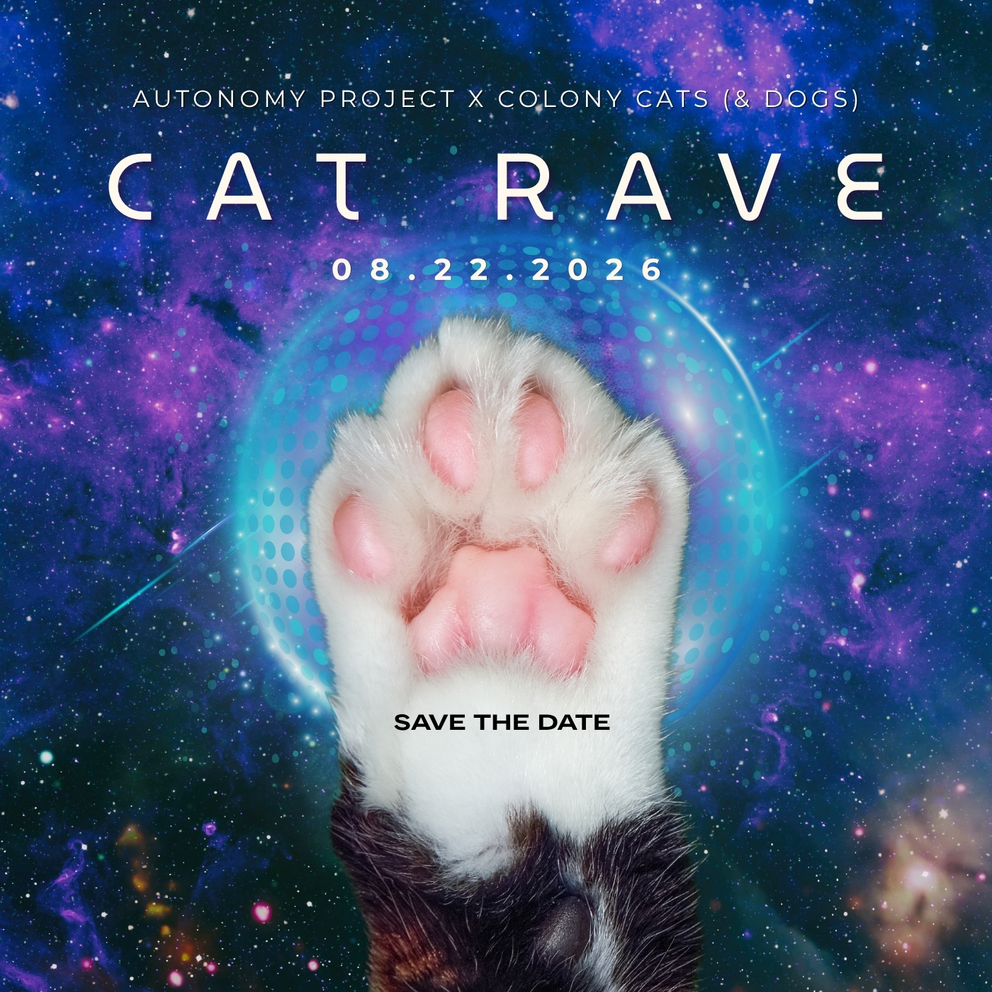 The Cat Rave 2.0 August 22nd at The Autonomy Project. 8pm to 10pm